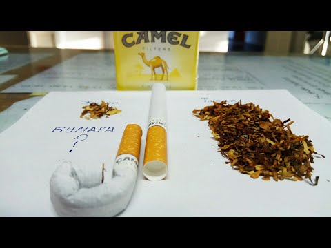 Обзор на Camel Filters. Из России с любовью