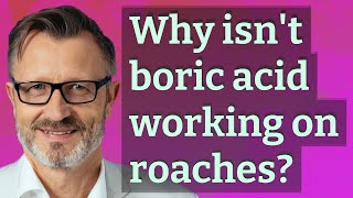 Why isn't boric acid working on roaches