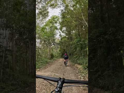 🚴Trilha do Jabuti 🐢 Quatro Barras - PR.