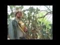 Tucson Afternoon by Zachariah and the Lobos Riders