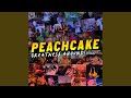 The Song of the Century (Daytrotter Session) - Peachcake - Topic The Song of the Century (Daytrotter Session)