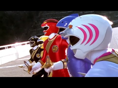 Power Rangers Wild Force 🔴 LIVE 24/7 | Power Rangers Official