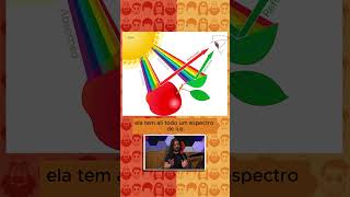 ESPECTRO DE LUZ VISÍVEL