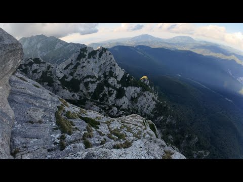 Creasta Coștila Gălbenele
