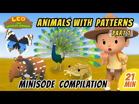 Animals with Patterns Minisode Compilation (Part 1/2) - Leo The Wildlife Ranger | Animation