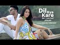Dil Kya Kare Did I Love You Mallika Sherawat Official Music Video Rishi Rich Dasu