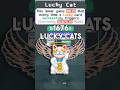How One Lucky Cat Hit 1676 Multiplier In Balatro