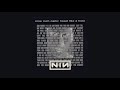 Nine Inch Nails - Down In It (Demo)