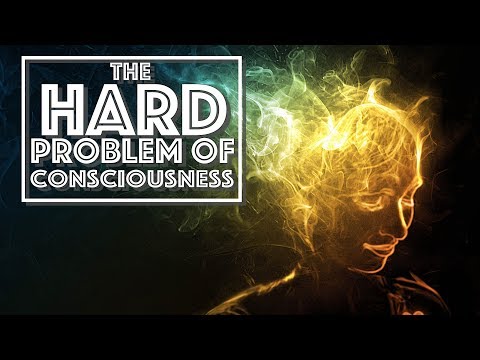 The Hard Problem of Consciousness (Video Essay)