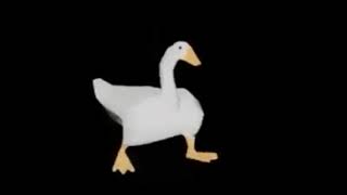 Cover art for My Name is Giovanni Giorgio