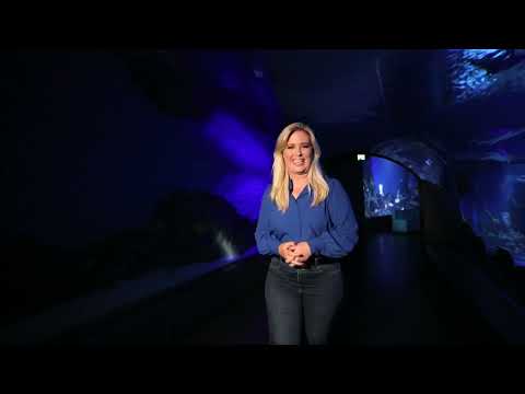 Cairns Aquarium