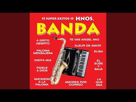 Download Banda Sinaloense Acero De Pablo Molina Jr Mataron A La Paloma
Mp3 dan Mp4 2019