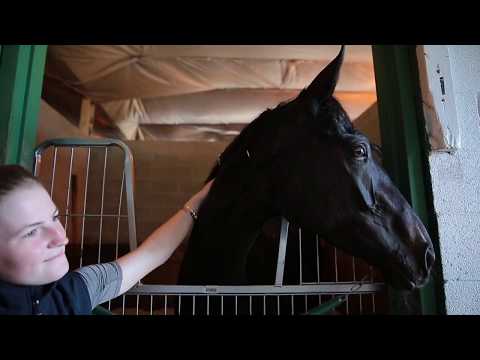 Beverly D: AWESOMETANK (GB) morning workout Aug. 7, 2019