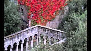 CRISTIANO DE ANDRÉ  - SANGUE DEL MIO SANGUE