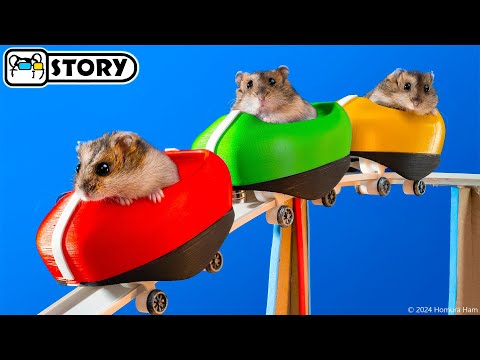 Hamsters on the World's Largest Roller Coaster in the Amusement Park Maze ???? Homura Ham Pets