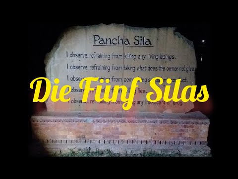 Die 5 Silas