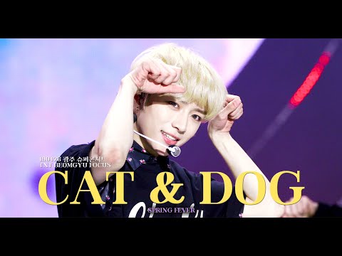 [190428 범규 FOCUS] Cat & Dog - SBS 슈퍼콘서트 in 광주