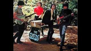 The Seeds - The Wind Blows Your Hair Reprise
