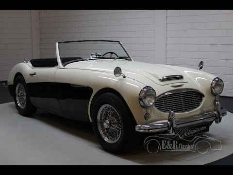 1956 Austin-Healey 100-6 (CC-1390886) for sale in Waalwijk, Noord Brabant
