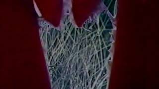 ROSENDA  JUAN GABRIEL