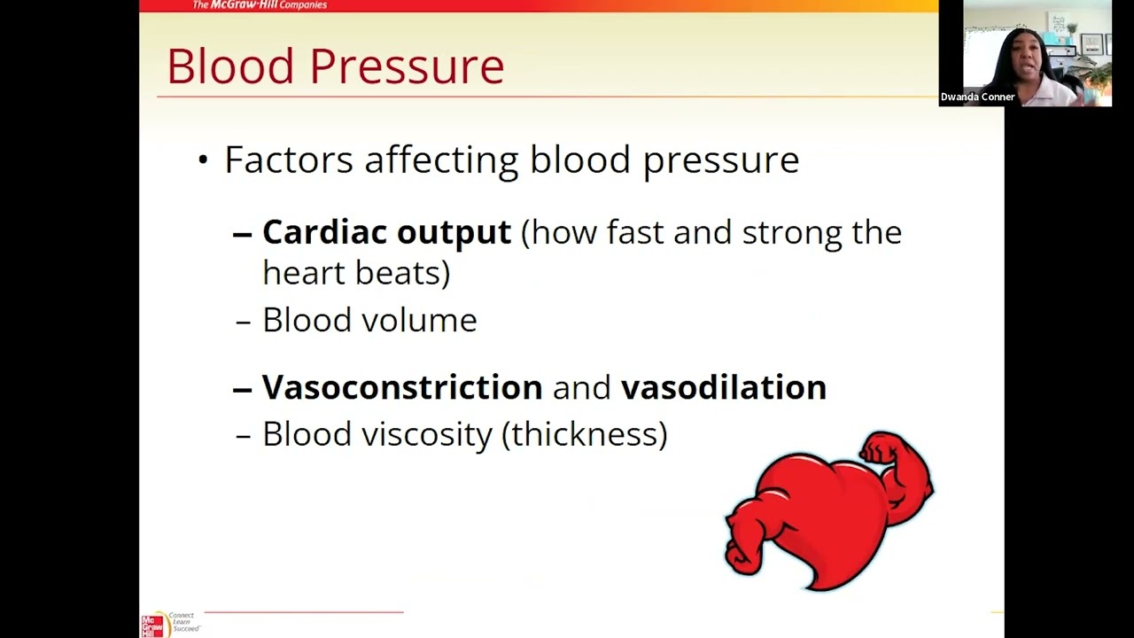 04 Cardiovascular System Blood Pressure