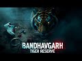 Bandhavgarh This Wasn T A Tiger Petpediaa
