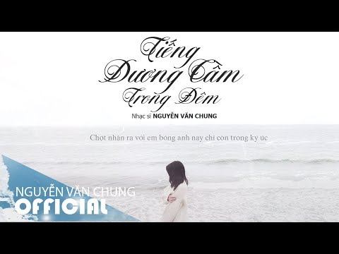 TIẾNG DƯƠNG CẦM TRONG ĐÊM (Acoustic) | ST: Nguyễn Văn Chung | Acoustic Thế Hệ 8x 9x