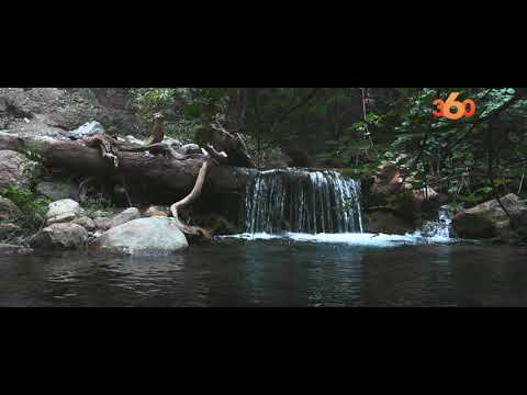 Institutional Film — 04