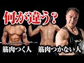 【筋トレ】骨格や体質はどのくらい関係ある?筋肉がつく人とつかない人の違いが判明しました