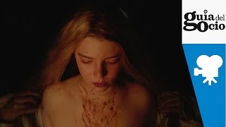Trailer Preview Image