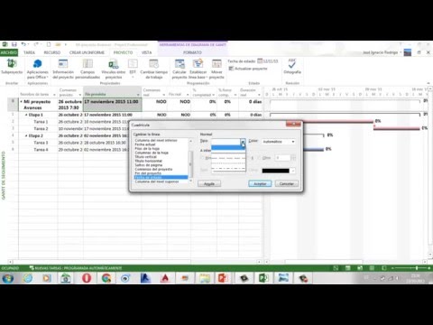 Microsoft Project:  Avance del proyecto