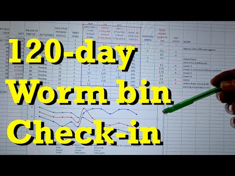 120-day old worm bin after 20 days since last fed - vermicomposting
