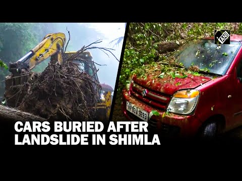 Shimla: Trees uprooted, roads blocked, cars buried as rains trigger landslide