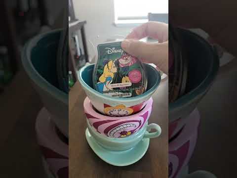 Alice in Wonderland Scentsy watmer and wax bar!