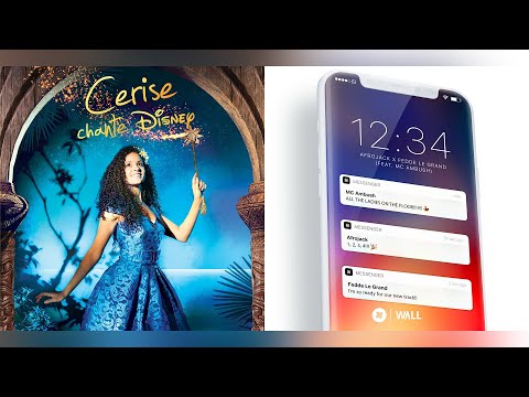 Cerise Calixte X Afrojack & Fedde Le Grand - Il Vit En Toi vs. 1234 (TOMMY CO Mashup)