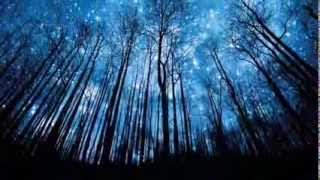 Hoy te toca ser feliz - Mägo de oz