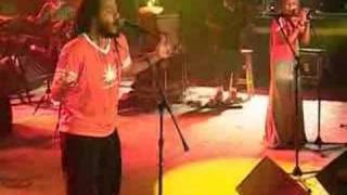 ziggy marley justice melody makers