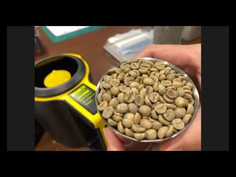 SCA Green Coffee  Foundation Group 2 ARISE+ Day 2