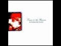 Texas is the Reason - Nickel Wound
