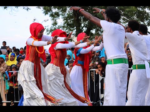 DHAANTO CUSUB "AYAAN" ABWAAN FANOOG LYRICS 2020