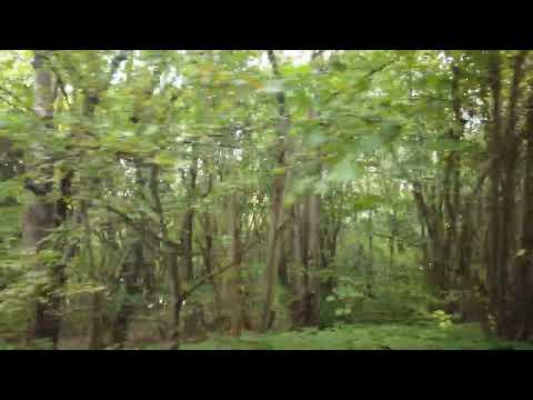 MongoTV_9868 - MIN GÅTUR - Del 2 - Køber 6 Liter Billig Saftevand i LIDL Lørdag 8.Oktober 2022