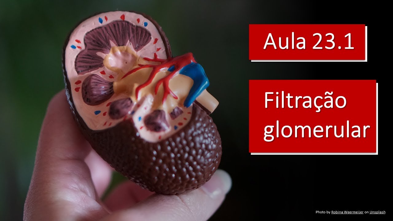 Videoaula 23.1 Filtração glomerular