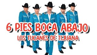 Seis pies boca abajo • Los Tucanes de Tijuana #lostucanesdetijuana