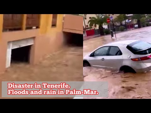 Disaster in Tenerife.  Floods and rain in Palm-Mar. Tenerife today. Travel blog from Spain 4K