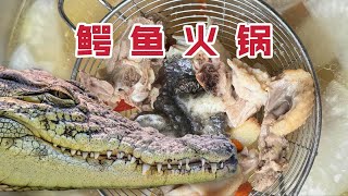 鳄鱼：2.4亿年的进化，我是拿来涮火锅的吗？