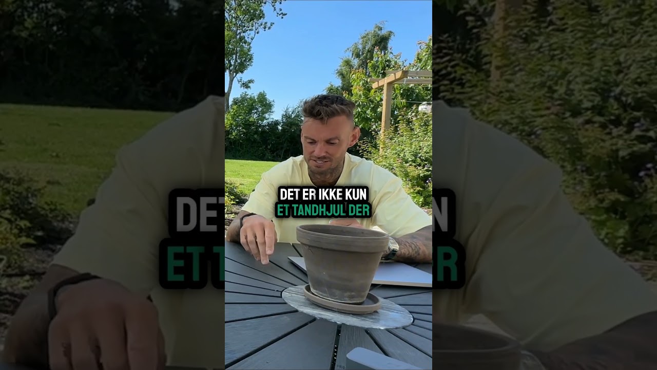 Fyldt ordrebog på under 2 måneder