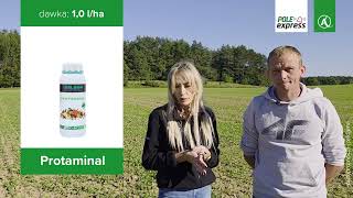 Lustracja rzepaku na Demofarmie Agrosimex | Komunikat Rolniczy