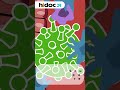 Is your gut microbiota forecast of the responses of COVID-19 vaccines?  #shortvideo #microbiota