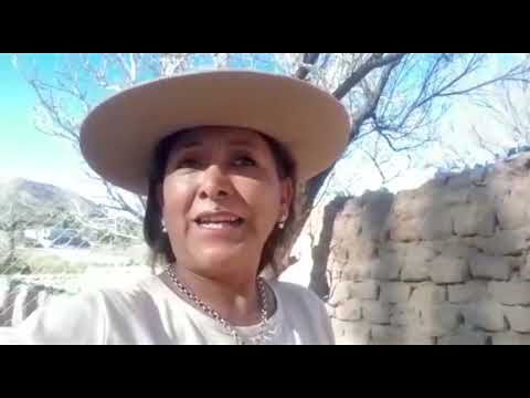 Escuela N° 4481   Payogasta Cachi