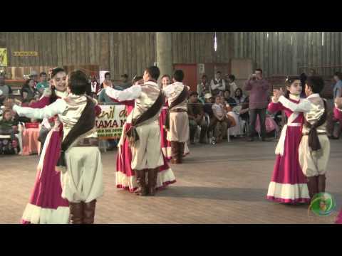 Triunfo em Festa 2010 » Danças Tradicionais » CTG Carreteiros da Saudade » Juvenil